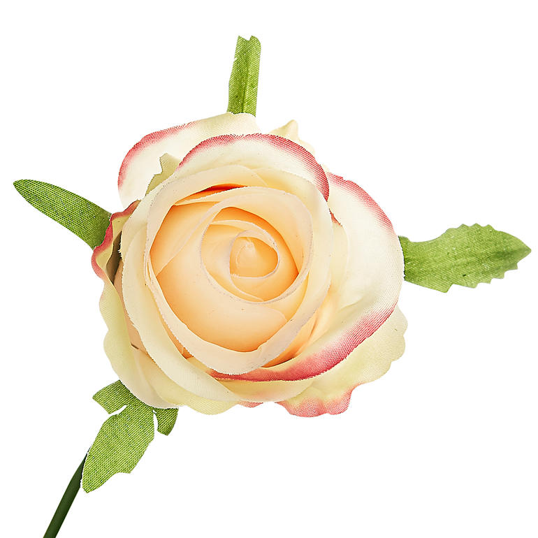 Zelfs van dichtbij zien de bloemhoofdjes er zo echt uit, dat men de neiging heeft eraan te ruiken. Roos in zachte kleuren met groene bladeren