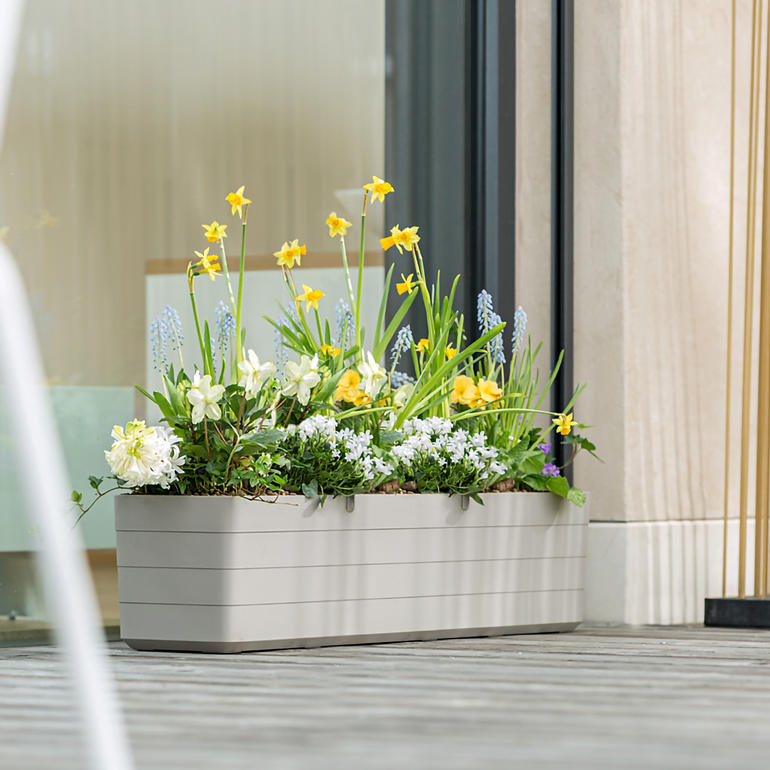 Lichte bloembak met verschillende bloemen, geplaatst op een houten terras.