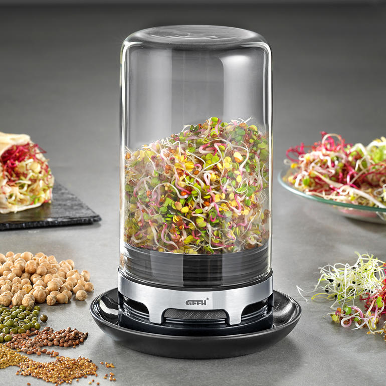 Gefu kiemglas met kiemen in een glazen container.