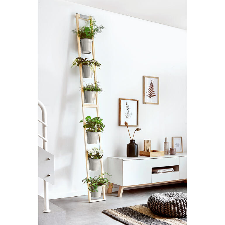 Plantenladder met meerdere potten aan een witte muur