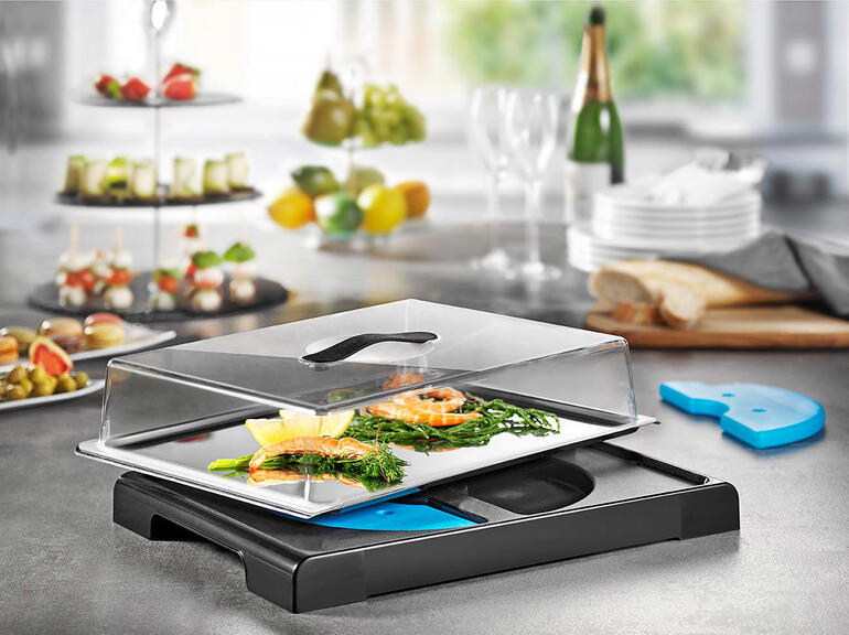 Gekoelde vershoudplaat met lichte gerechten en een transparante deksel