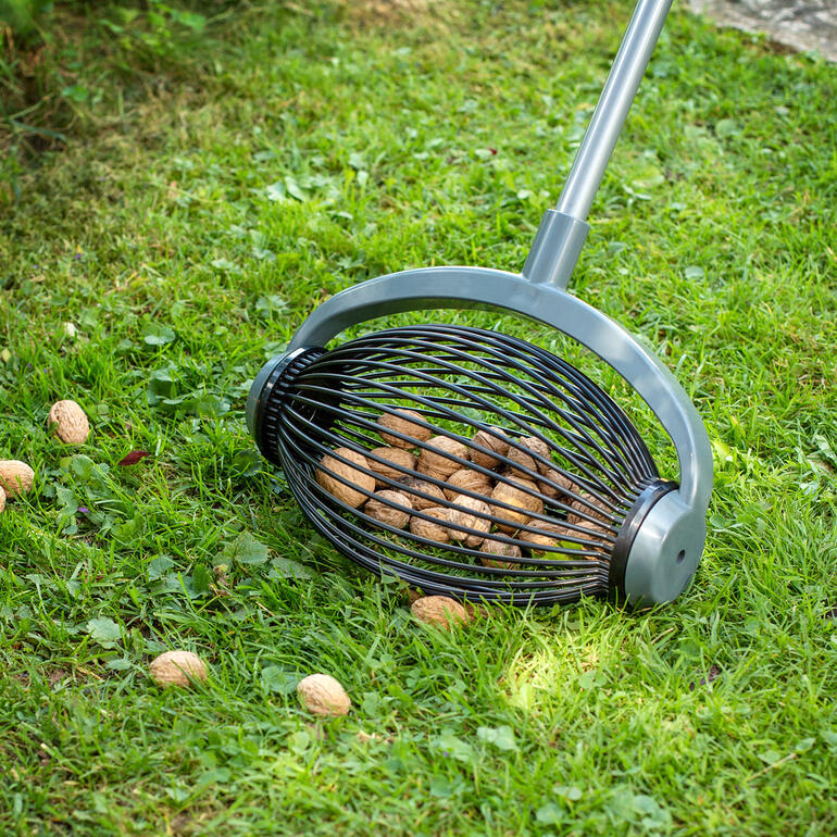 Kleine UPP® rollende verzamelaar voor het ophalen van noten op het gras.