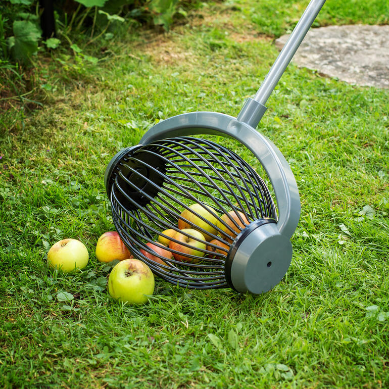 grote mand Grote UPP® rollende verzamelaar voor het ophalen van appels op het gras.