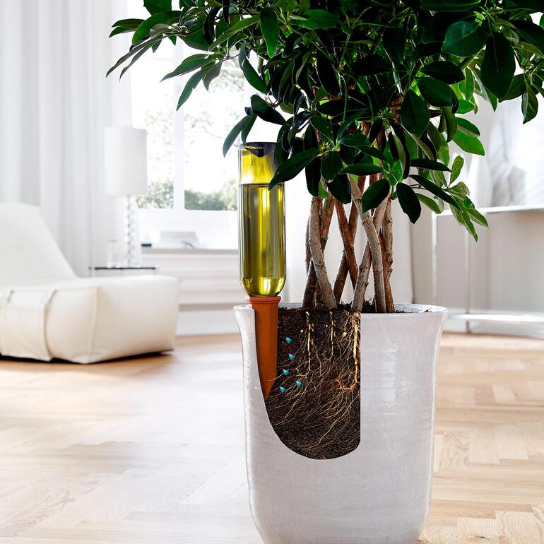 Tonkegel in een bloempot met plant