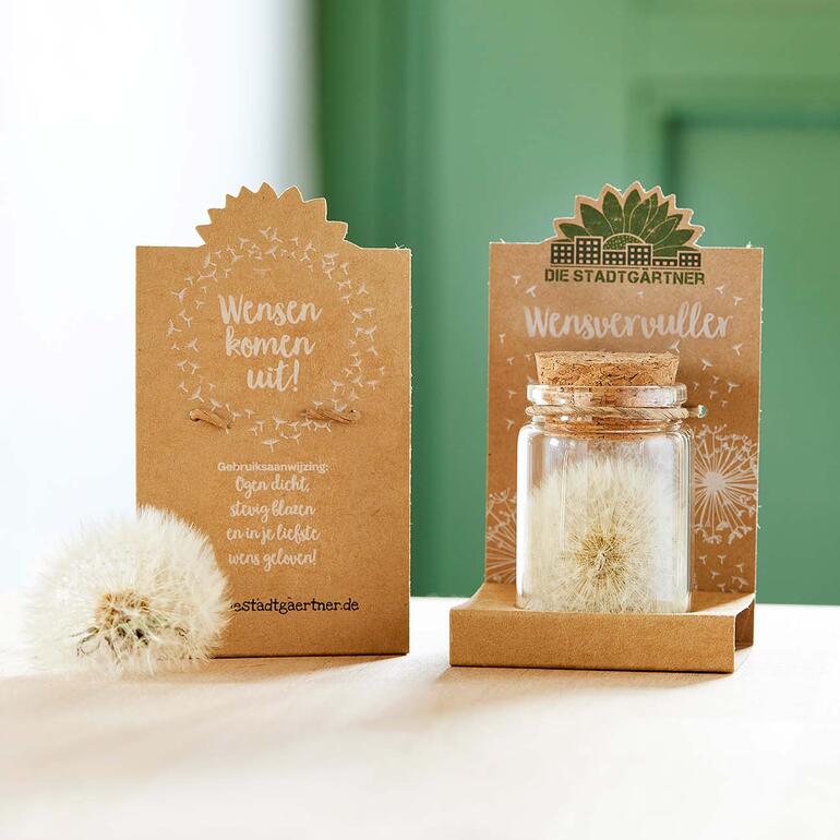 Glas met paardenbloem en kaarten voor het uiten van wensen.