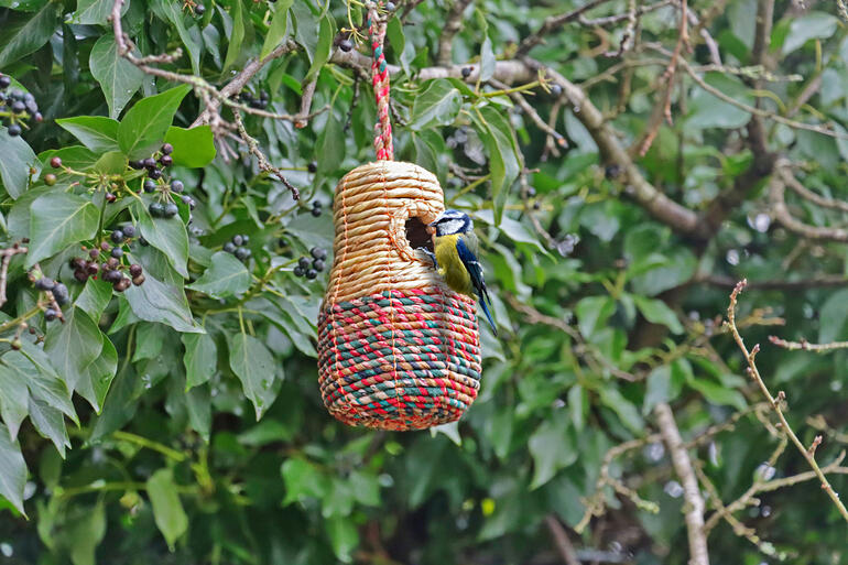 klokvorm Artisan vogelhuisje in klokvorm, hangend aan een boom met een koolmees