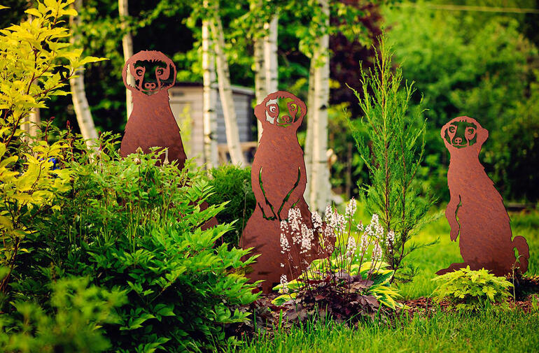 Meerkats tuinsteekerset in een tuin met verschillende planten.