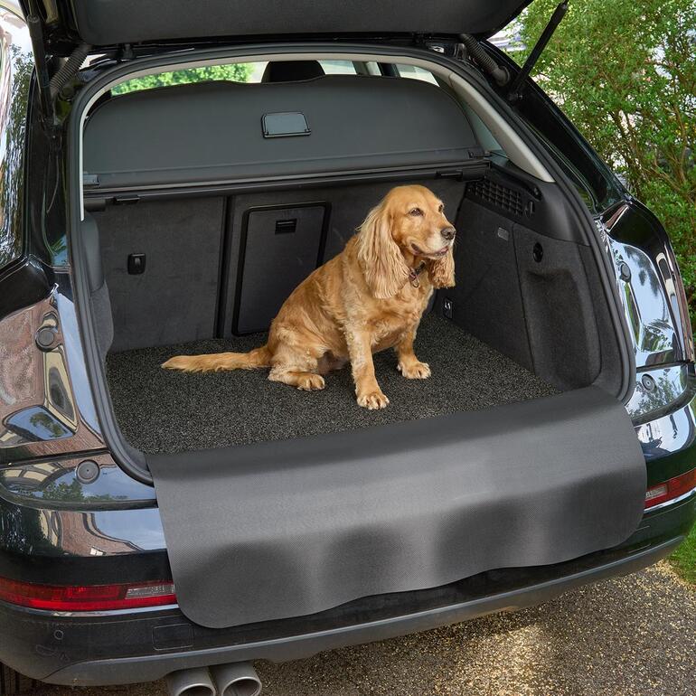 Ook ideaal als u viervoeters in de kofferbak meeneemt. Hond zit op een bagageruimte mat in de auto
