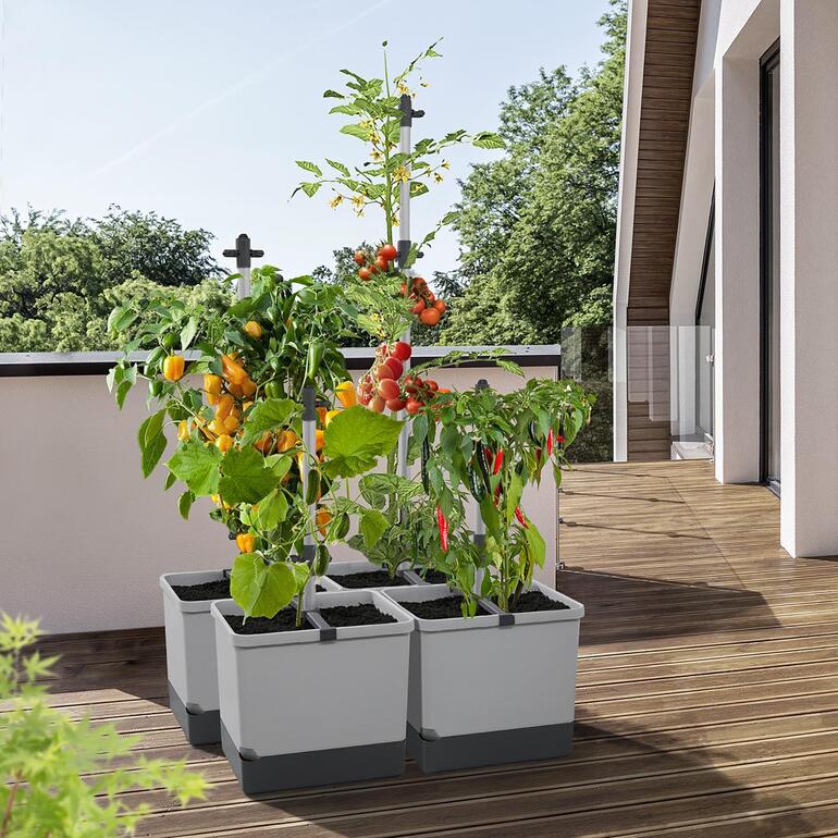 Planten toren met tomaten en paprika op een balkon