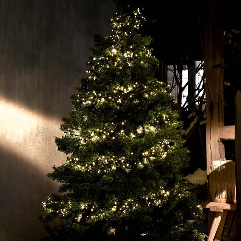 Zonne-lichtsnoer verlicht een kerstboom.