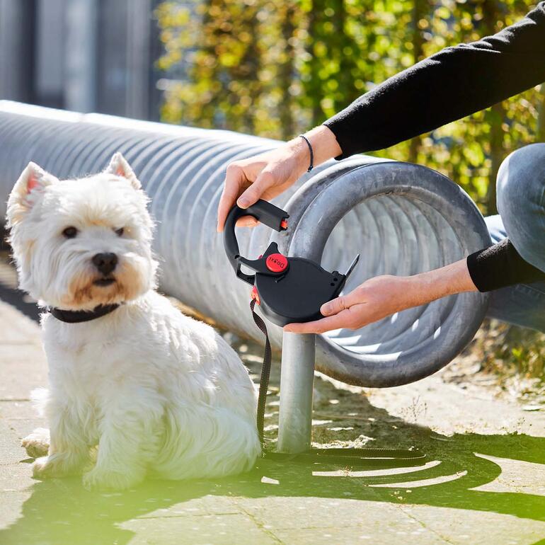 Hond naast een man die een rol-leiband met haakfunctie gebruikt.