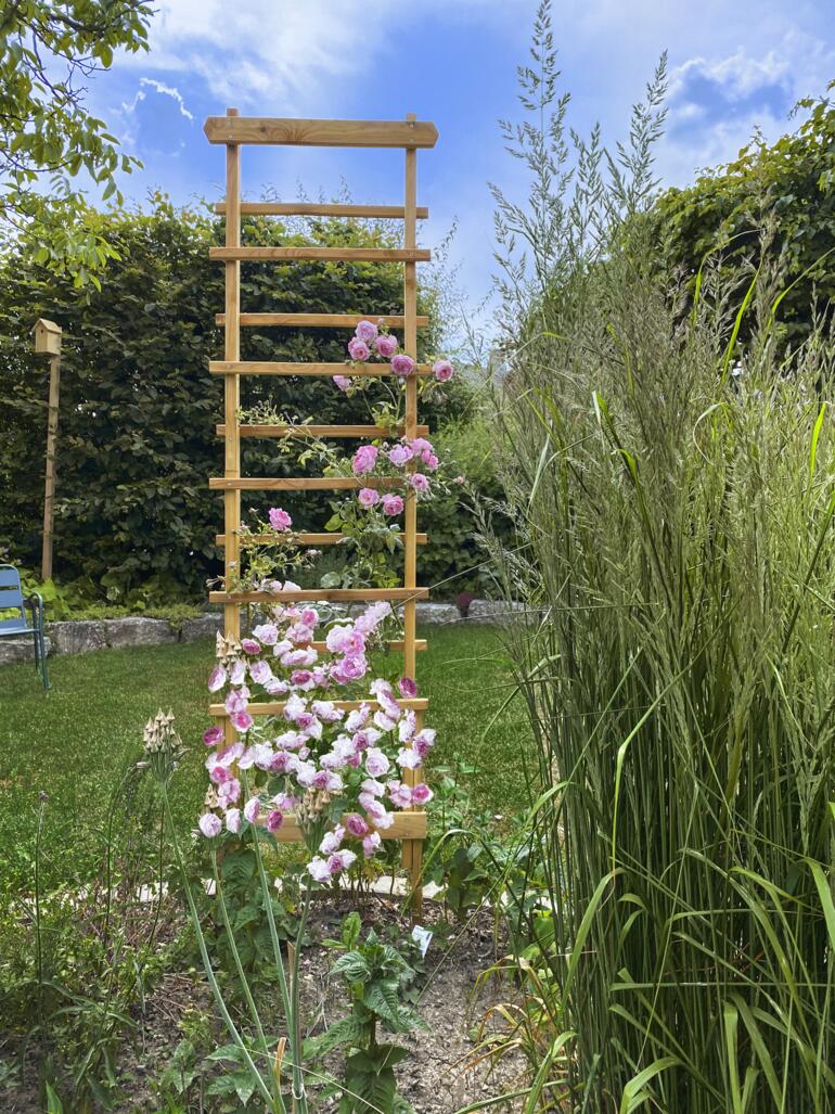 Stabiele houten klimrek in de tuin, omringd door bloeiende planten.