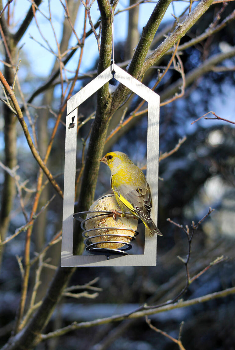 Groene vink op een vetbolhouder voor een blauwe lucht