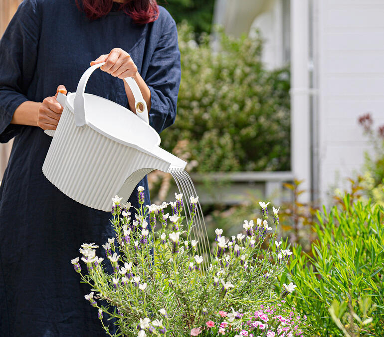 Gieter Vrouw besproeit bloemen met een gieter in de tuin