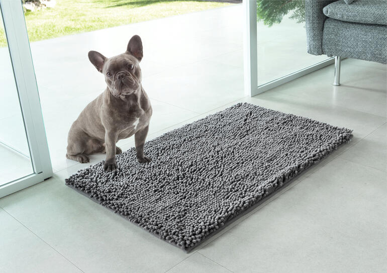 Hond op een huisdier-vuilmat voor een glazen deur.
