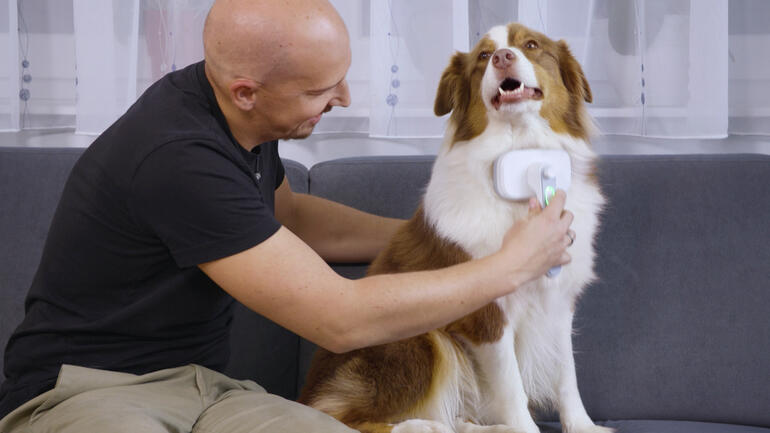 Een man borstel een hond met een dierenharenborstel op de bank.