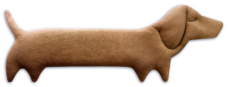 Karamelkleurige warmte-teckel op een witte achtergrond.