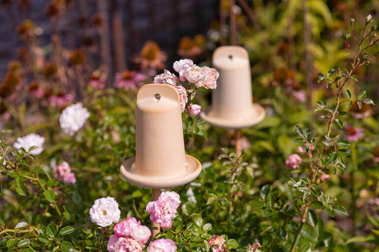 Drie 3-in-1 insectenhuizen decoratief in de tuin tussen rozenbloesems.