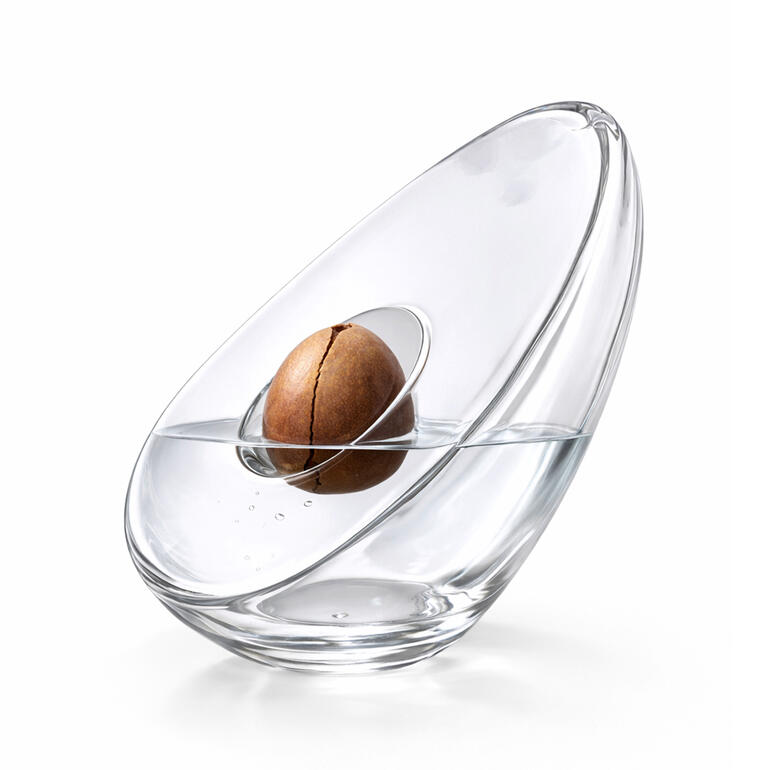 Avocado vaas met een avocado pit in water, in een elegante vorm.