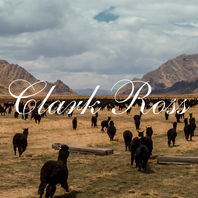 Clark Ross