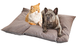 Dierenvrienden